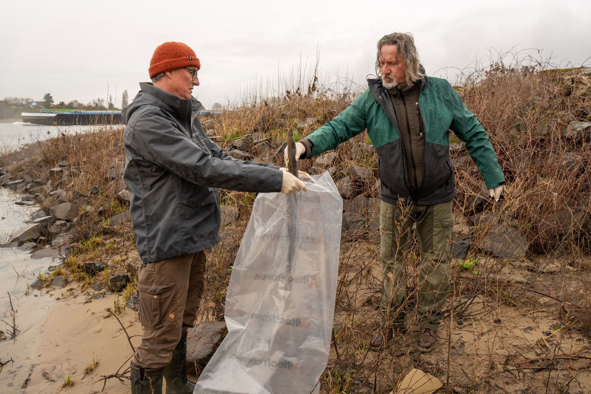 Personen sammeln tote Aale am Rheinufer 